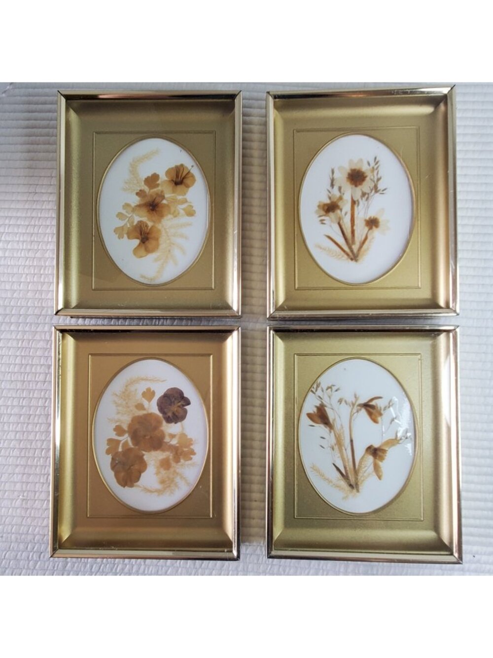 4 Shrog Dried Pressed Flowers 6x4.5 Glass Metal Frame Vintage England Handmade